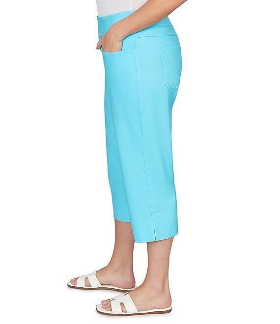 Ruby Rd. Plus Size Stretch Straight Leg Pull-On Capri Pants Product Image