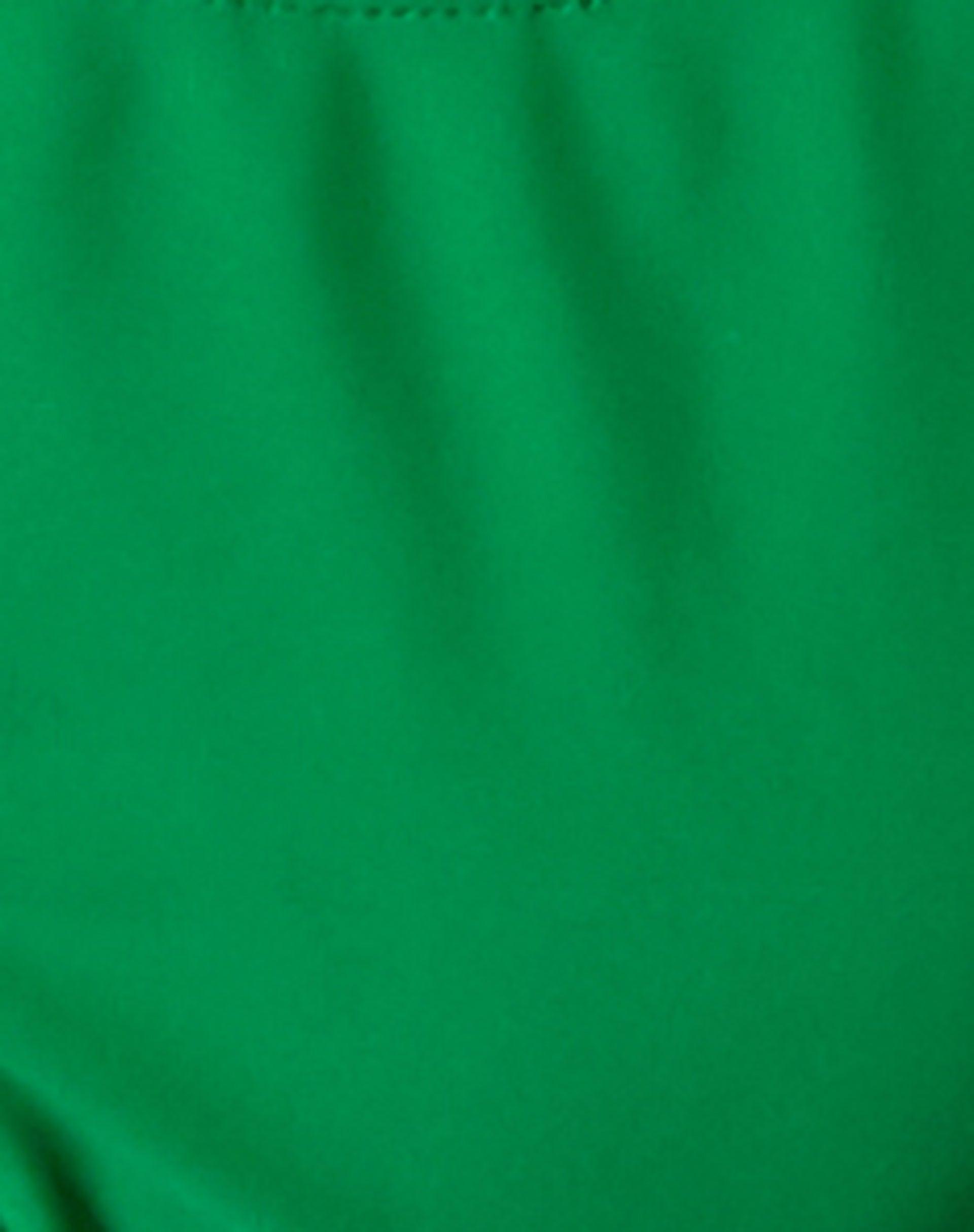 Farida Bikini Bottom in Green Product Image