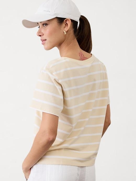 Essential V-Neck Tee Product Image