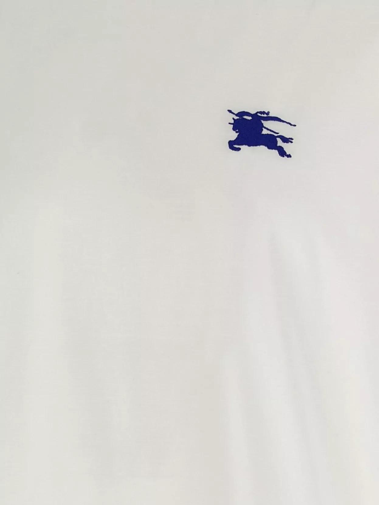 White Embroidered T-Shirt Product Image