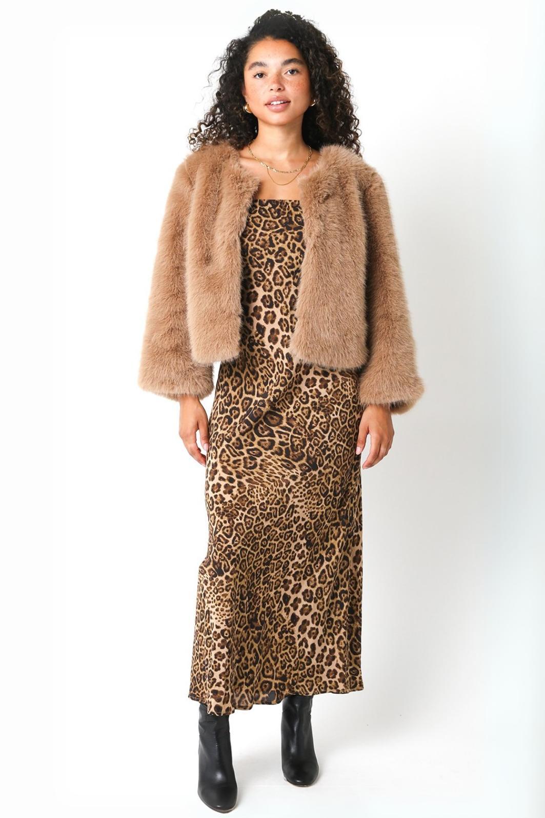 Leopard Tube Maxi Dress Product Image