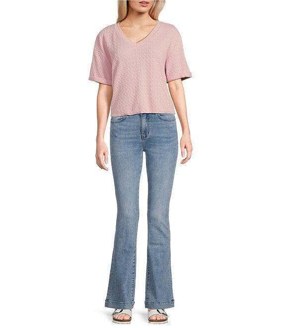 Moa Moa Striped V-Neck Short Sleeve Cropped Top Product Image