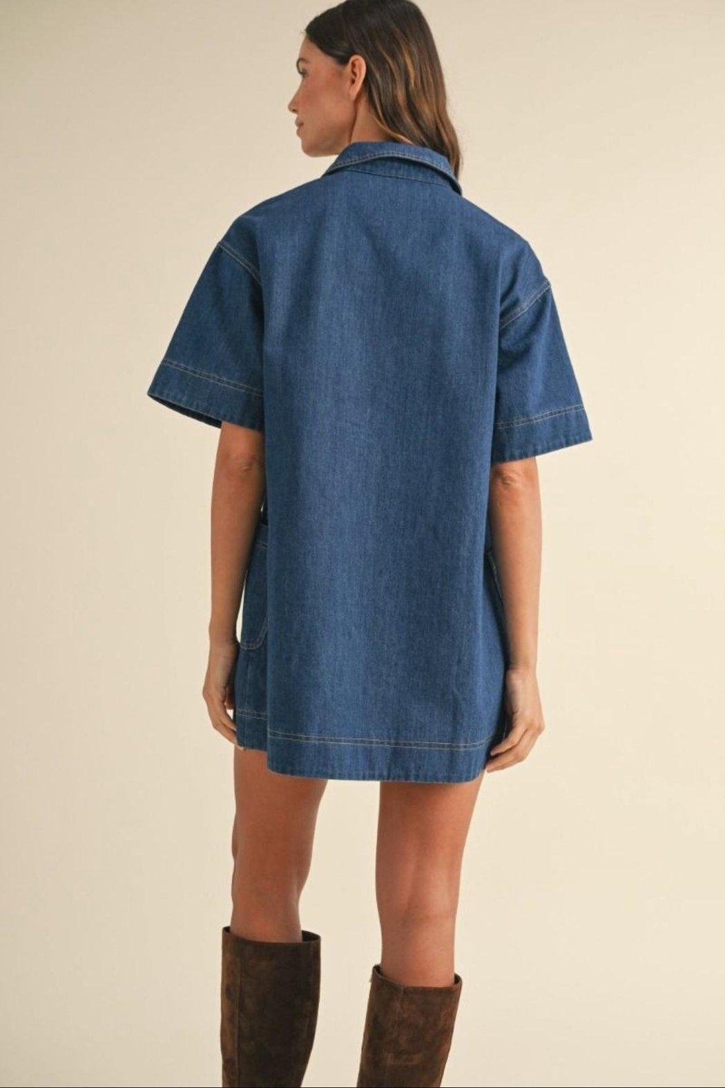 Denim Mini Dress Product Image