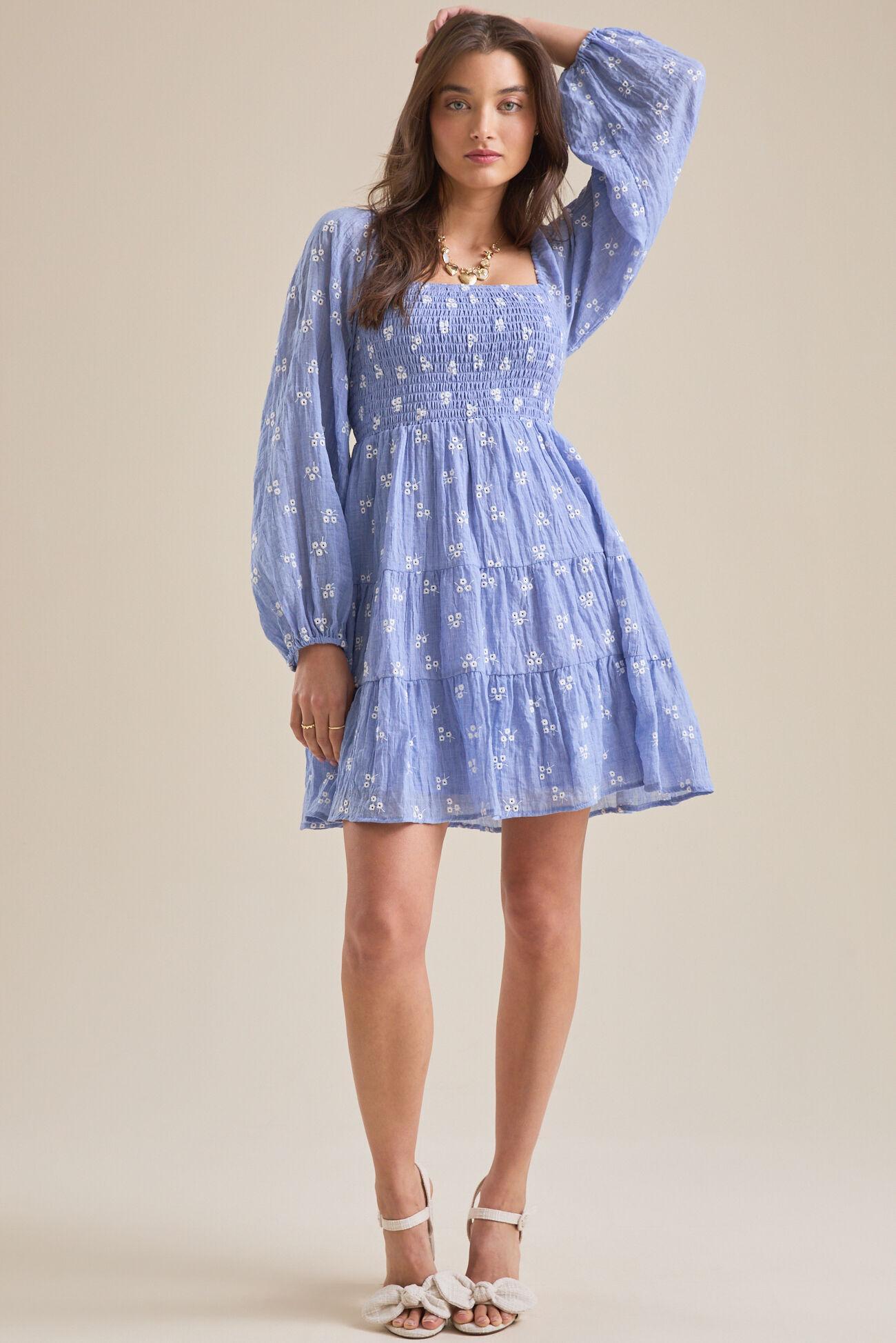 Chelsea Embroidered Mini Dress Product Image