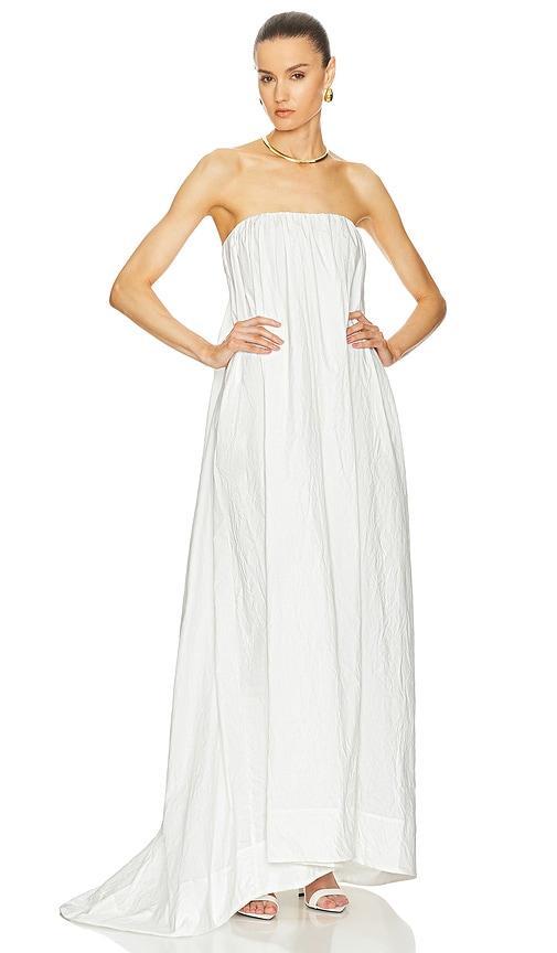 Crinkle Pleated Gown Helsa Product Image