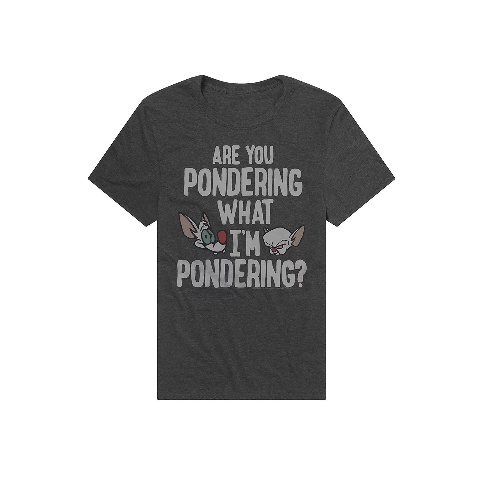 Men's Pinky And The Brain Are You Pondering What I'm Pondering Graphic Tee, Size: XL, Grey Product Image