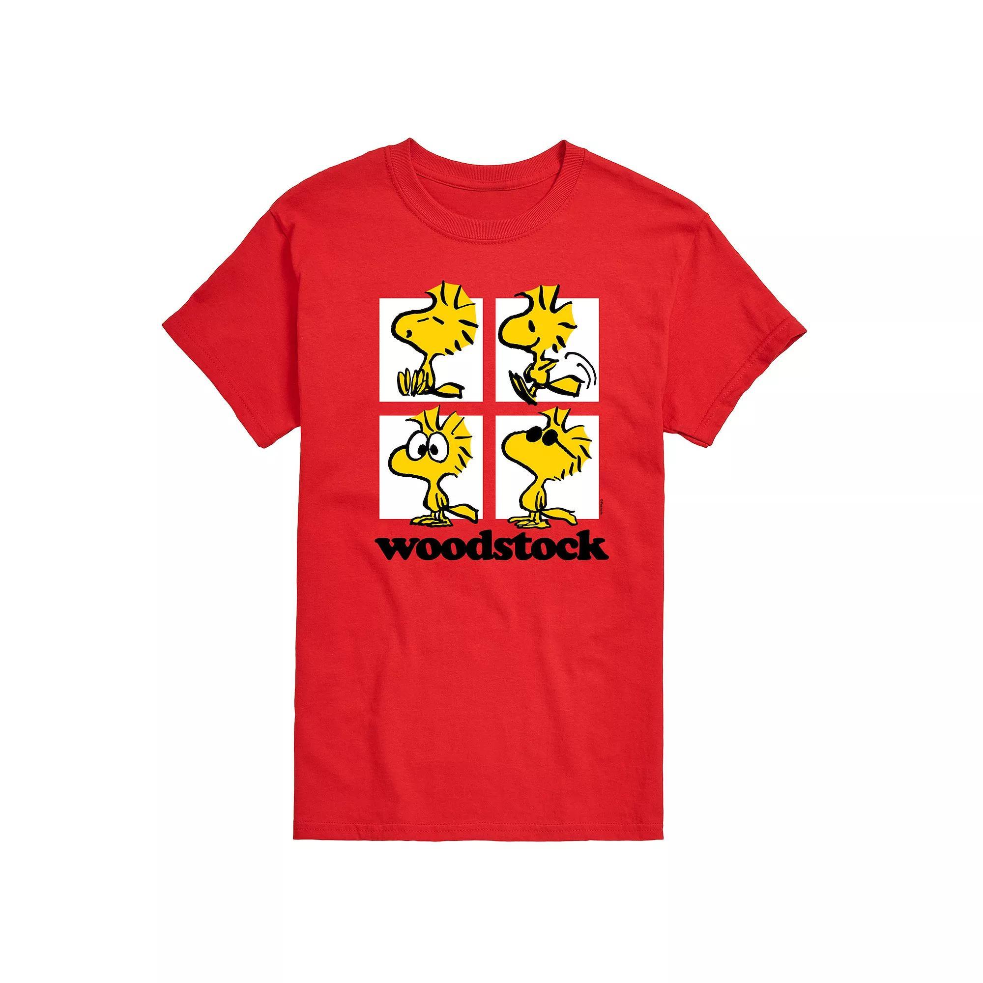 Big & Tall Peanuts Woodstock Grid Graphic Tee, Men's,  Product Image