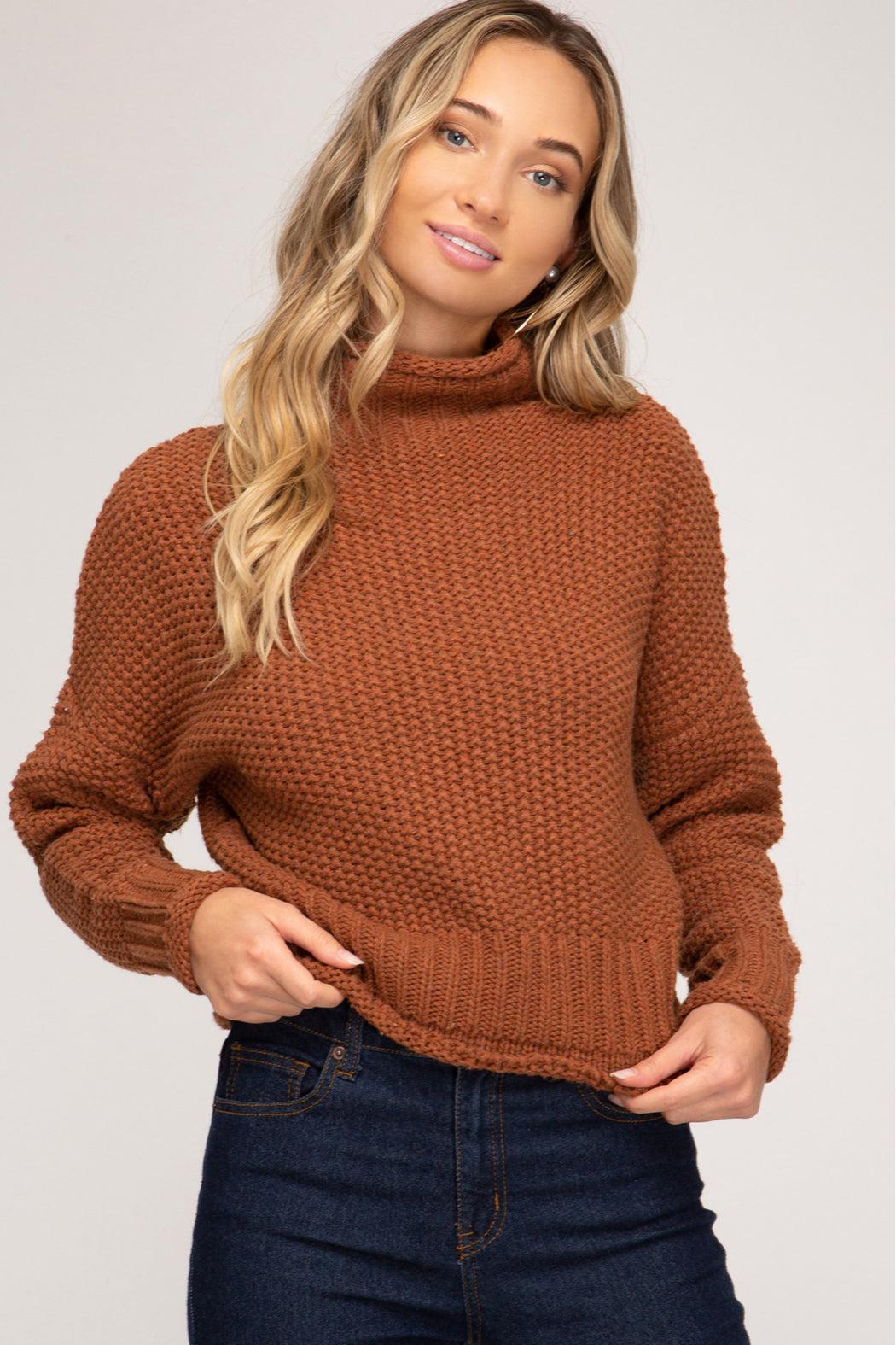 Chunky Turtleneck Sweater Product Image