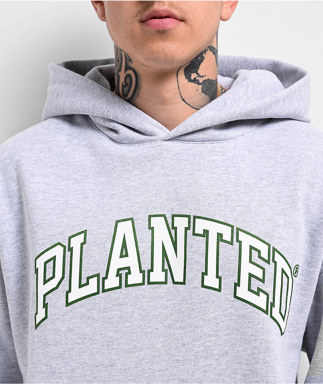 Planted Varsity Logo Grey Hoodie Product Image