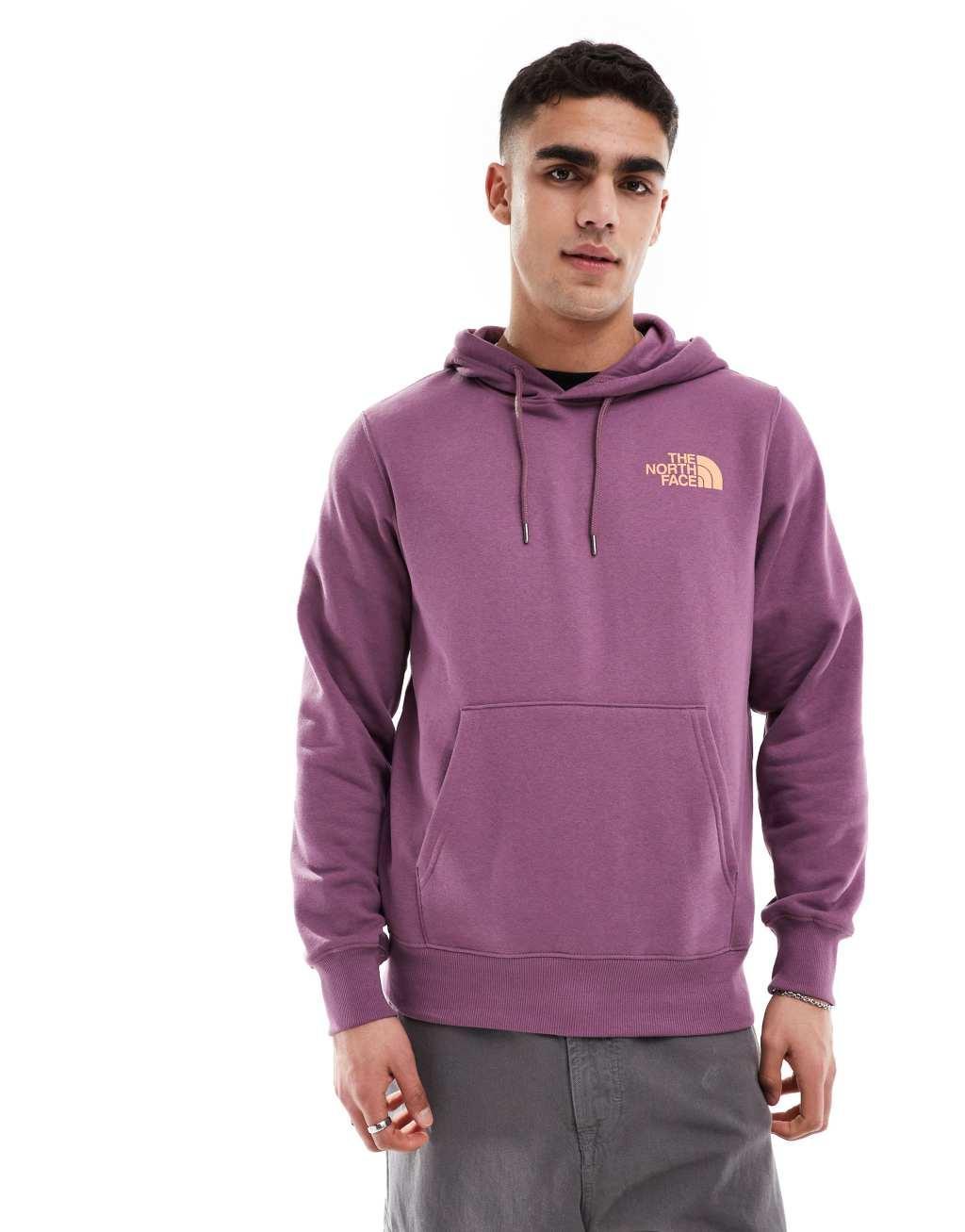 The North Face Brand Proud pullover hoodie with graphic back print in mauve Product Image