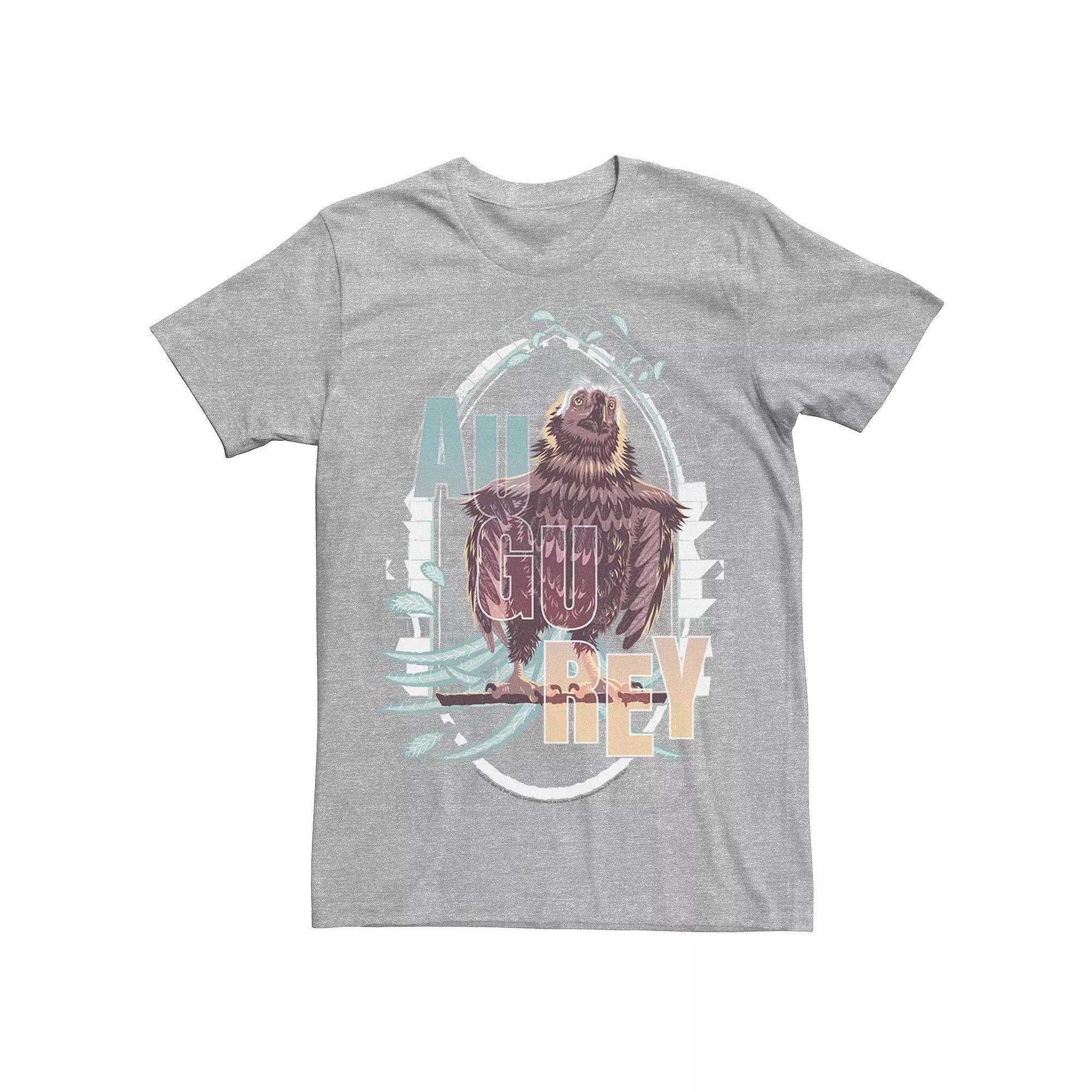 Men's Harry Potter Fantastic Beasts Augurey The Irish Phoenix Graphic Tee, Size: XXL, Athletic Grey Product Image