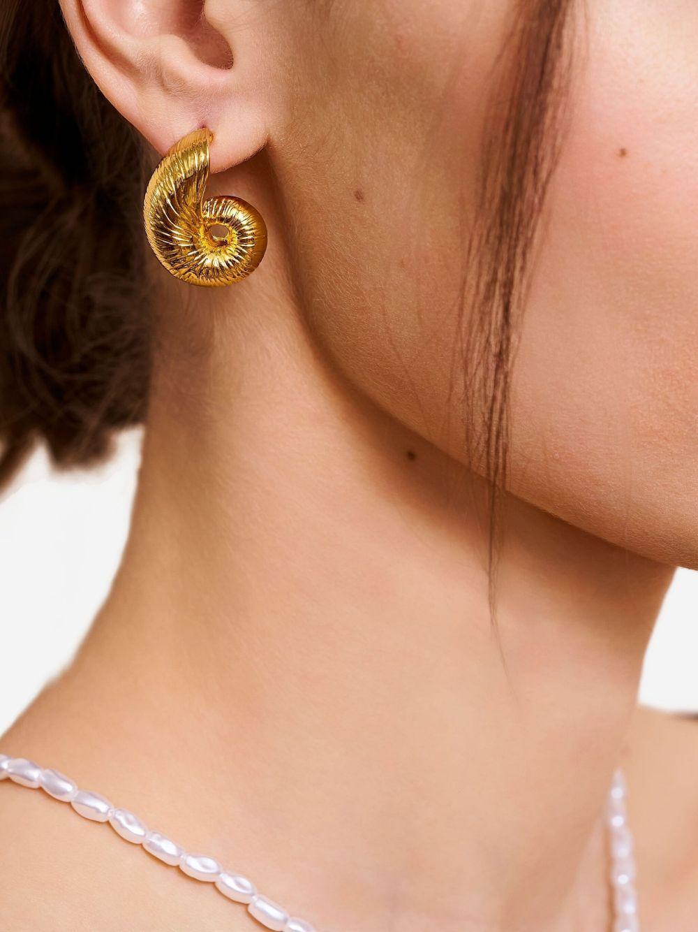 Seashell earrings  Product Image