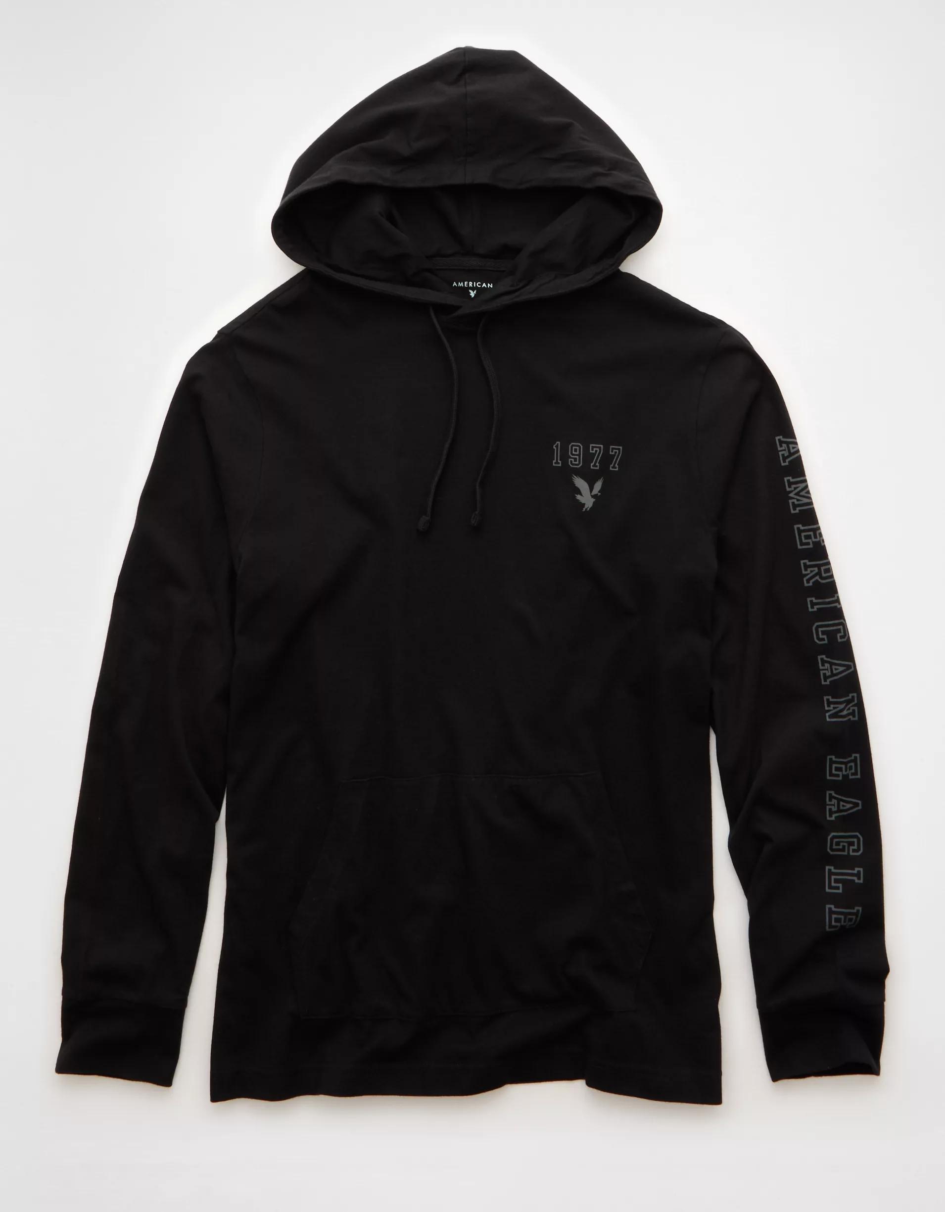 AE Icon Logo Graphic Hoodie T-Shirt Product Image