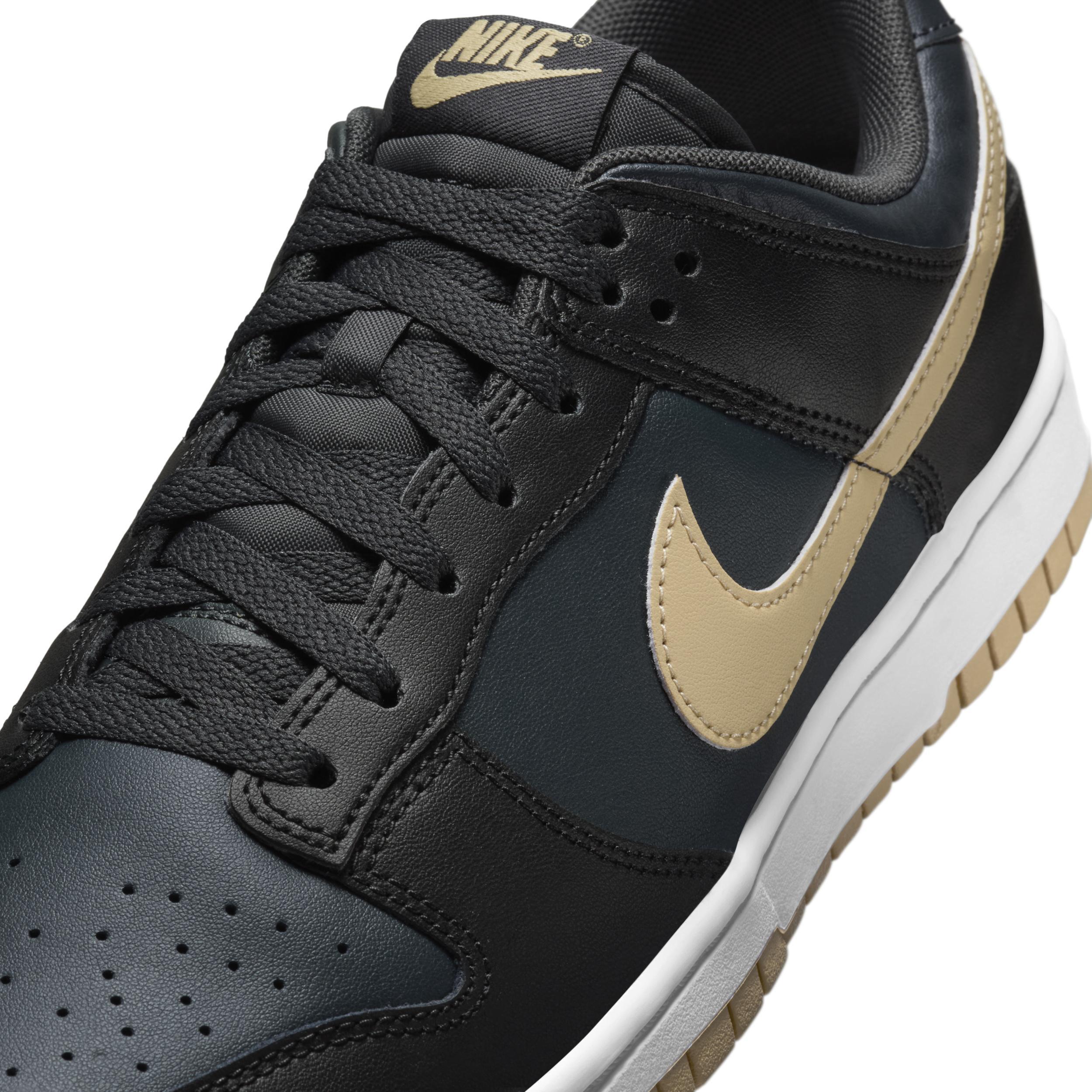 Nike Dunk Low Retro Men's Shoes Product Image