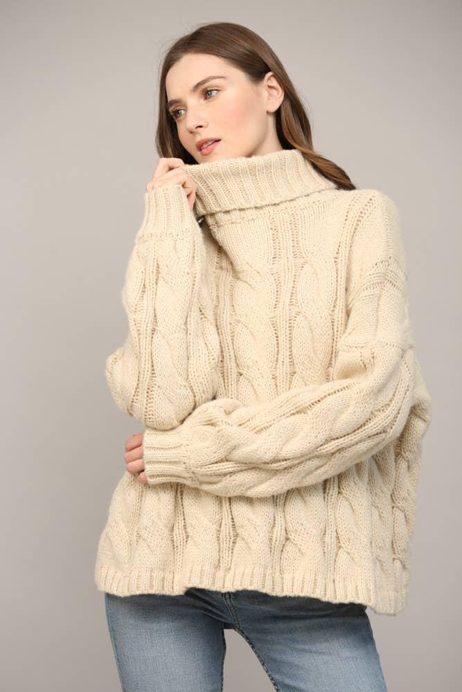 Cable Knit Turtleneck Product Image