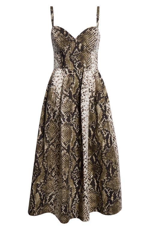 OSCAR DE LA RENTA Sleeveless V Neck Snake Print Cotton Dress In Python Product Image